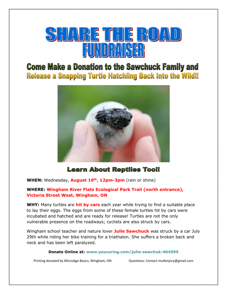 Share the Road: release of Julie the Turtle