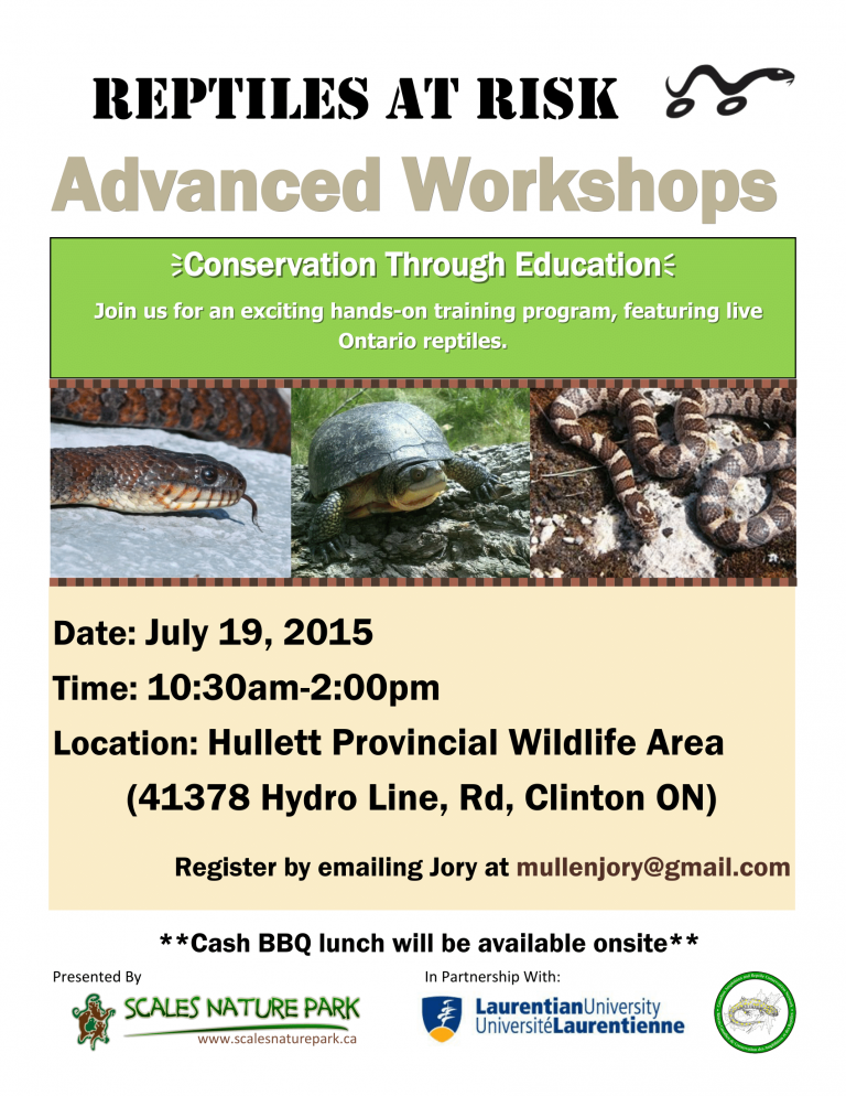 Reptiles at Risk – Advanced Workshop