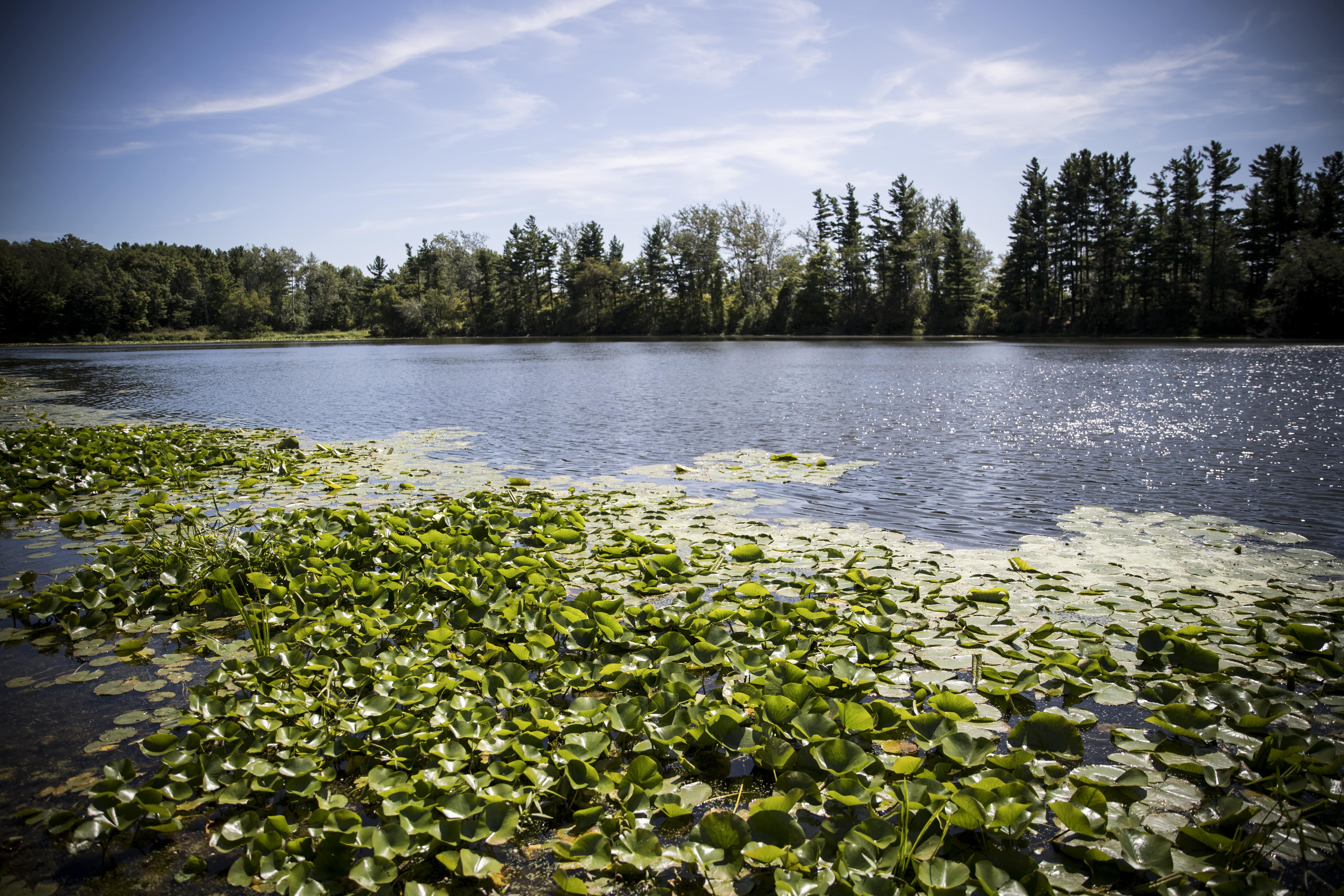 Morrison reservoir pond