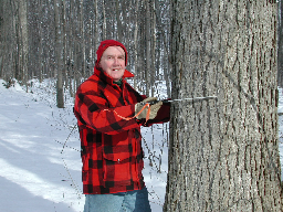 woodlot