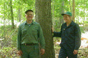 foote woodlot