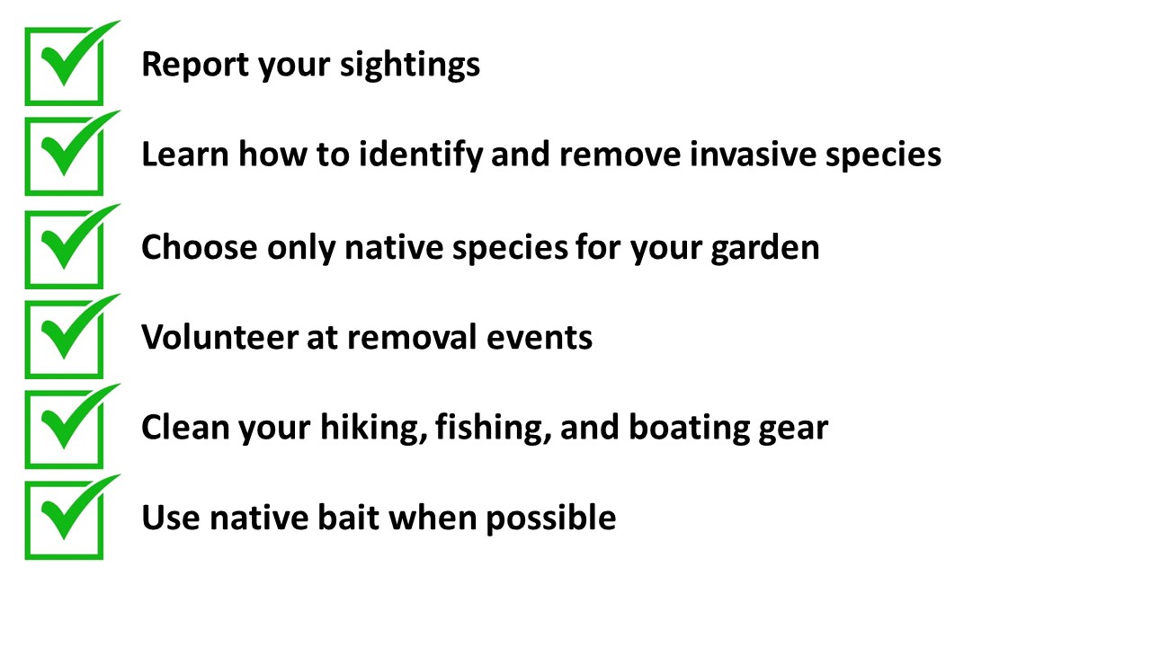 Invasives