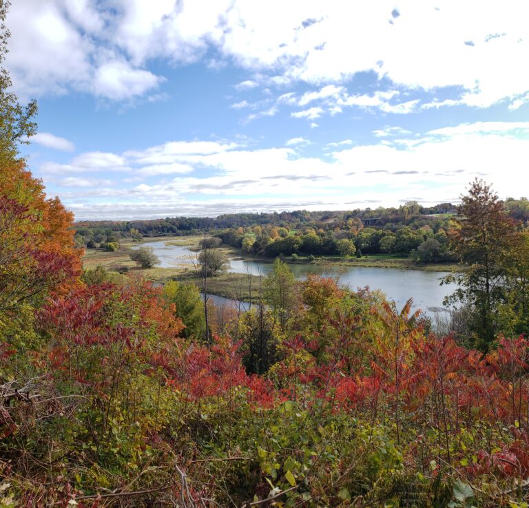 The Arrival of Fall: What to Look For as the Seasons Change
