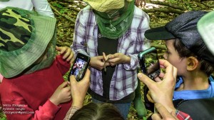 A volunteer holds a rare Ribbon Snake while onlookers take pictures to submit to the Ontario Nature Reptile and Amphibian Atlas. Photo by Devin Sturgeon