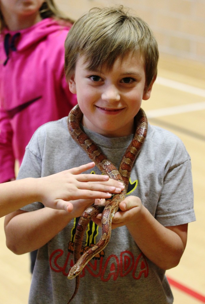 Boy with cornsnake