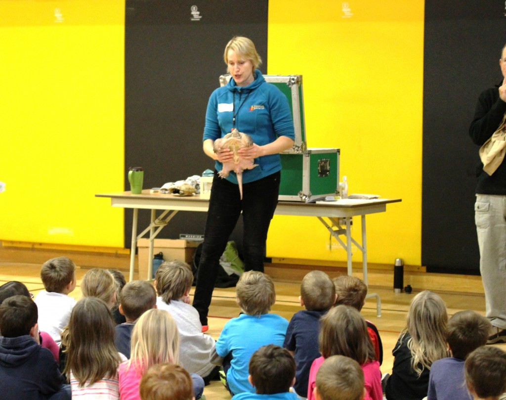 Jory shows students the Snapping Turtle's tiny belly shell (plastron).