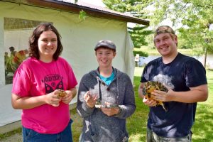 Huron Stewardship Council (HSC) volunteers Jack Campbell, Corbin Marshall, and Keagan Rollinson (shown left to right in photo) helped at the September 1, 2016 event at Morrison Dam Conservation Area east of Exeter held to raise funds for the Ontario Turtle Conservation Centre and to raise awareness about the need to protect native turtle species and other native species. As part of the education event, people learned about native species that need protection and non-native species which should never be introduced into the wild. Jack is holding a Three-toed Box Turtle, a sub-species of Ontario’s extirpated Eastern Box Turtle. Corbin is holding a Taiwan Beauty Snake, a pet-trade species that should not be released into the wild. Keagan is holding a Red-eared Slider which is an invasive species that should never be released into local waters. The baby turtles which community members released at Morrison Reservoir (Morrison Lake) are Snapping Turtles native to this part of Ontario and were incubated and hatched under the care of qualified staff, with permits, at the HSC.
