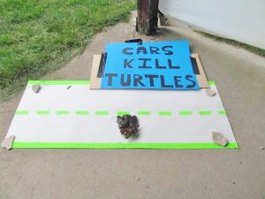 Sign display warning attendees the hazards face while turtles cross the road